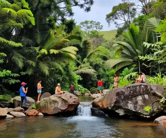 Descubra a Fonte do Ribeirão: Uma Joia Natural do Maranhão