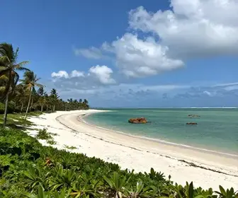 Descubra a Praia do Olho d'Água: Um Paraíso no Maranhão