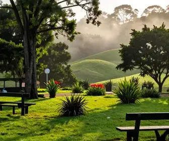 Descubra as Belezas do Parque Botânico da Vale em São Luís