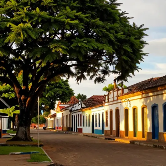 Descubra O Buriti Descubra O Buriti