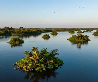 Descubra o Delta do Parnaíba: Uma Joia do Maranhão