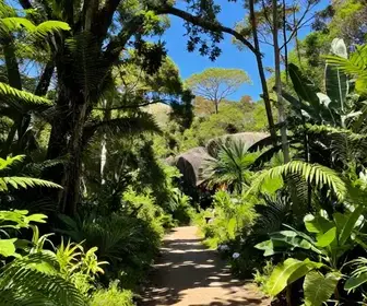 Descubra os 15 melhores parques e trilhas no Maranhão: guia completo