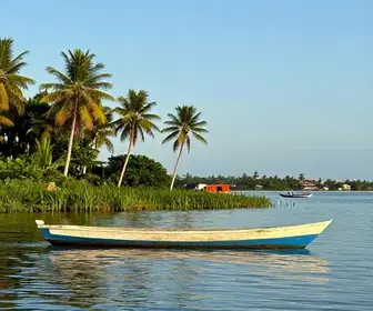 Explore o Encanto do Passeio de Barco em Raposa no Maranhão