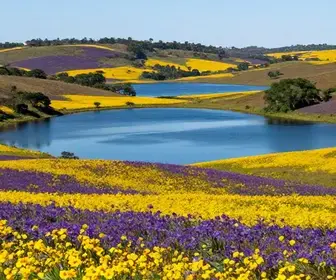 Explore o Polo Lagos e Campos Floridos: Destinos e Atrações Imperdíveis Explore o Polo Lagos e Campos Floridos: Destinos e Atrações Imperdíveis
